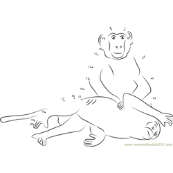 Two Monkey Dot to Dot Worksheet