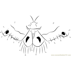 Cecropia Moth Wings Dot to Dot Worksheet