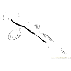 Giant Mudskipper Western Pacific Ocean Dot to Dot Worksheet