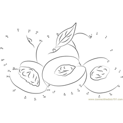 Peaches and Nectarines Dot to Dot Worksheet