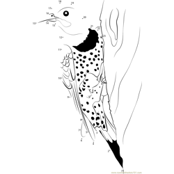 Common Flicker Looking for Something Dot to Dot Worksheet