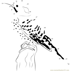 Female Red Shafted Flicker Dot to Dot Worksheet