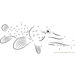Northern Pike Face Dot to Dot Worksheet