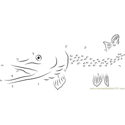 Northern Pike in Pacific Ocean Dot to Dot Worksheet