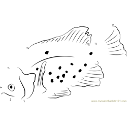 Brown Spotted Sunfish Dot to Dot Worksheet