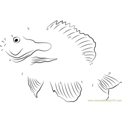 Ocean Sunfish in National Aquarium Dot to Dot Worksheet