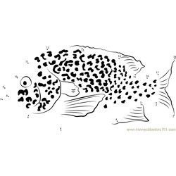 Spotted Ocean Sunfish Dot to Dot Worksheet