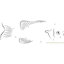 Sunfish Underwater Dot to Dot Worksheet