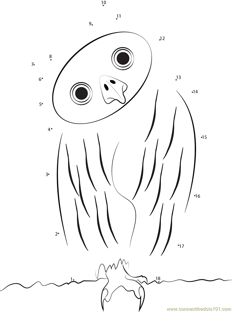 Flirty Owl