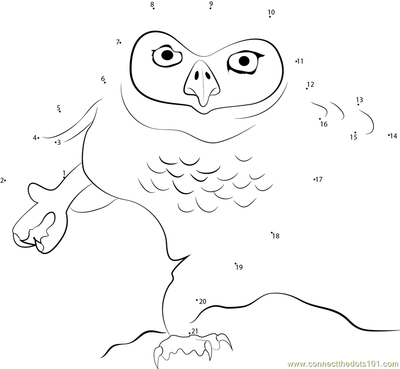 Owl Dance