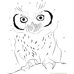 Angry Owl Dot to Dot Worksheet