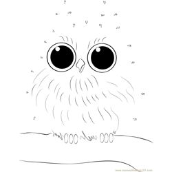 Baby Owl Dot to Dot Worksheet