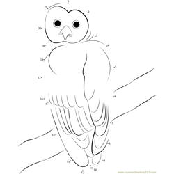 Black Owl Dot to Dot Worksheet