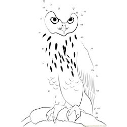 Eagle Owl Dot to Dot Worksheet