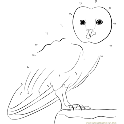 Great Horned Owl Dot to Dot Worksheet
