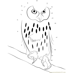 Laughing Owl Dot to Dot Worksheet
