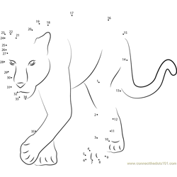 Baby Panther Dot to Dot Worksheet