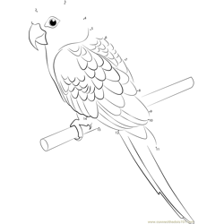 Blossom-headed Parakeet Dot to Dot Worksheet