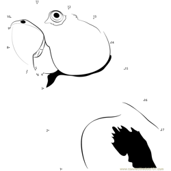 Cute Colourful Parrot Dot to Dot Worksheet