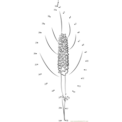 Peace Lily Dot to Dot Worksheet