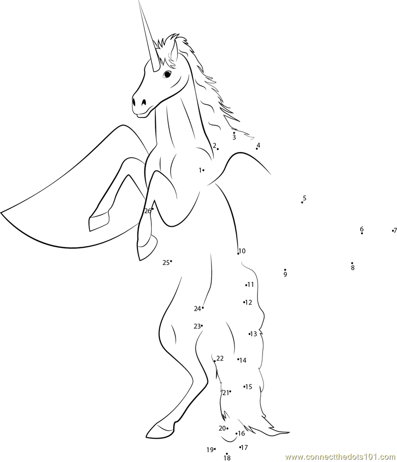 Unicorn Pegasus Thing
