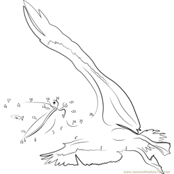 Pelican Seagull Flying Beak Dot to Dot Worksheet