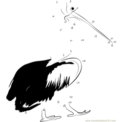 Pelican The Wonderful Bird Dot to Dot Worksheet
