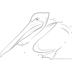 Spot-billed Pelican Dot to Dot Worksheet