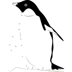 Chinstrap Penguin Dot to Dot Worksheet