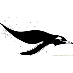Penguins Swim Dot to Dot Worksheet