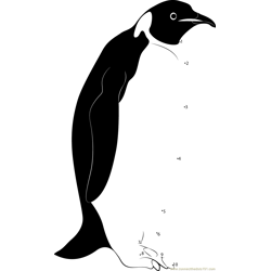 Penguins Dot to Dot Worksheet