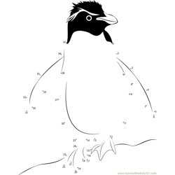 Rockhopper Penguin Dot to Dot Worksheet