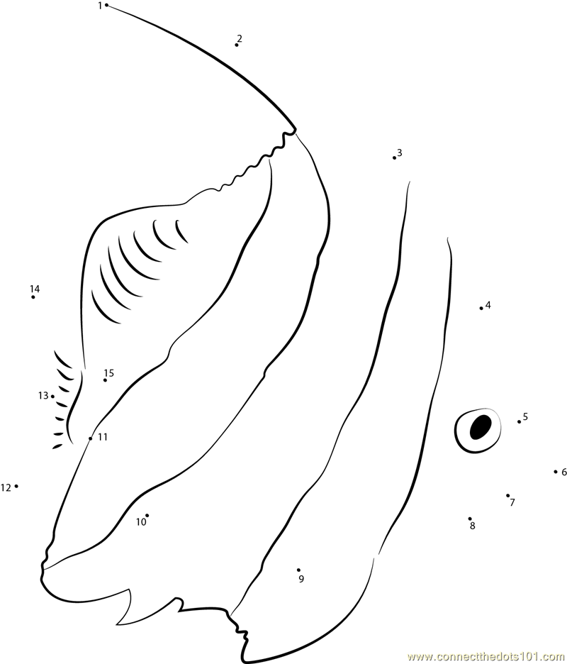 Longfin Pennant Coralfish