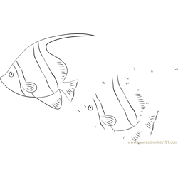 Red Sea Bannerfish Dot to Dot Worksheet