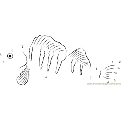 Perch Marine Fish Dot to Dot Worksheet