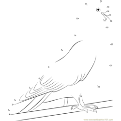 White Indian Pigeon Dot to Dot Worksheet