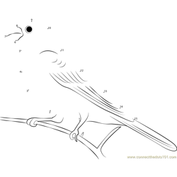 Pine Grosbeak Heavy-Chested Bird Dot to Dot Worksheet