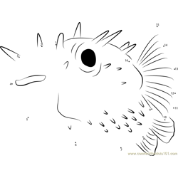 Porcupinefish Dot to Dot Worksheet