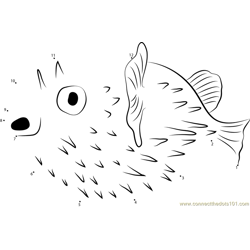 Porcupinefish in National Aquarium Dot to Dot Worksheet