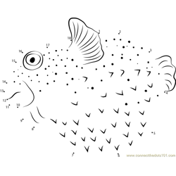 Pufferfish Dot to Dot Worksheet