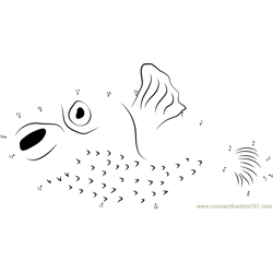 Slender-spined Porcupinefish Dot to Dot Worksheet