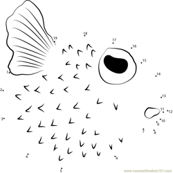 Spotted Porcupinefish Dot to Dot Worksheet