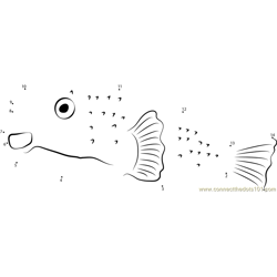 Yellow Porcupinefish Dot to Dot Worksheet