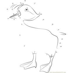 Crested Puffin Dot to Dot Worksheet