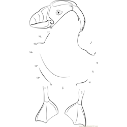Puffin in Henry Doorly Zoo Dot to Dot Worksheet