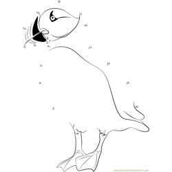 Tufted Puffin Dot to Dot Worksheet