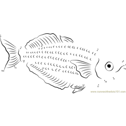 Australian Rainbowfish Dot to Dot Worksheet