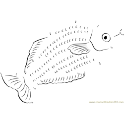 Duboulay's Rainbowfish Dot to Dot Worksheet