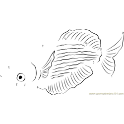 Sepik Rainbowfish Dot to Dot Worksheet