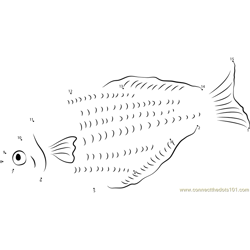 Yellow Rainbowfish Dot to Dot Worksheet